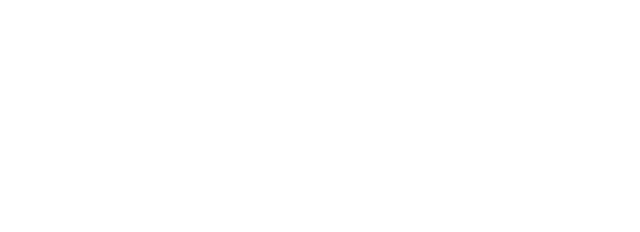 wits-logo-white