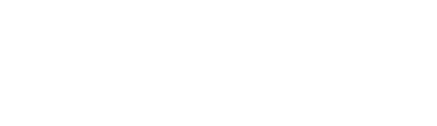 wits-logo-white-norealty
